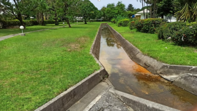 5 Common Drainage Mistakes Homeowners Make
