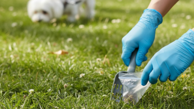 Selecting the Perfect Dog Waste Removal Service: A Guide