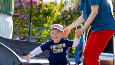 comprehensive lostark embedtree guide