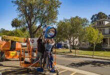 comprehensive movierulz mg overview