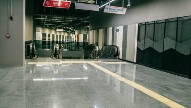 margarod81 platform comprehensive overview