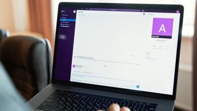 megapornfree platform functionality explained