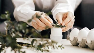 movi zwap org functionality explained