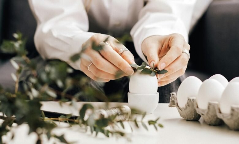 movi zwap org functionality explained