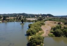 movie overview and details