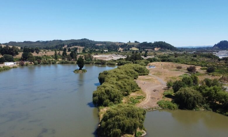 movie overview and details