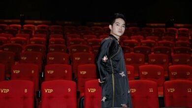 movie streaming service details