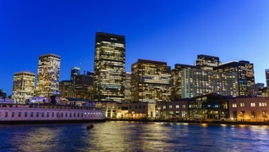 moviesbay platform functionality explained