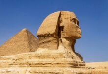 moviescounter site overview guide