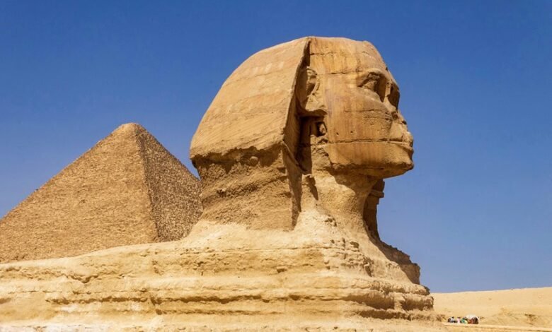 moviescounter site overview guide