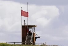 engagement alert signal issued