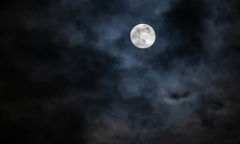 expansion of growth orbit