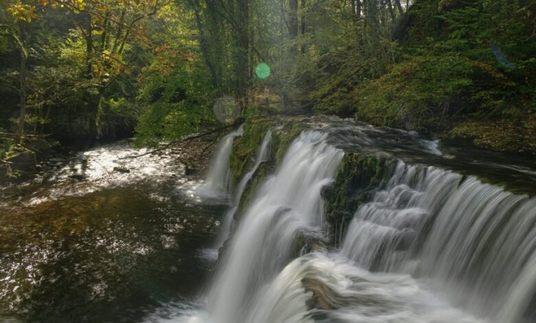 growth beacon market exposure