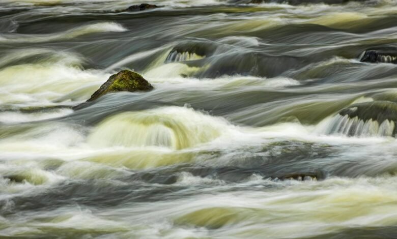 momentum and visibility flow