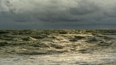 online traffic surge alert