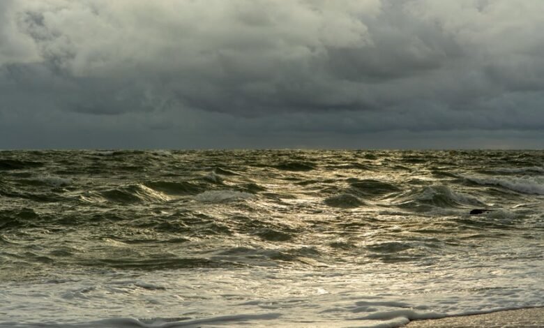 online traffic surge alert