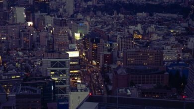 traffic information available online