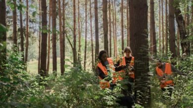 visibility search lift