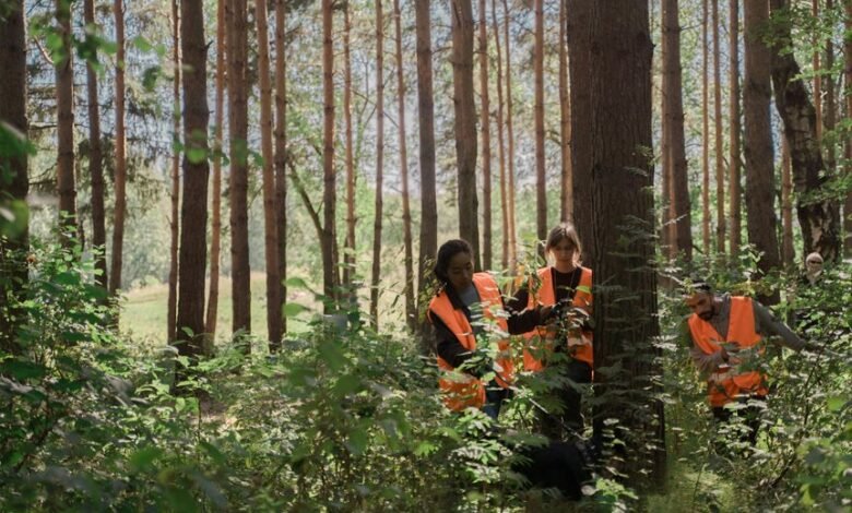 visibility search lift