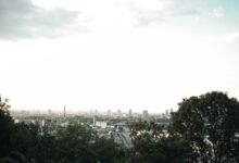 digital advantage for dominance