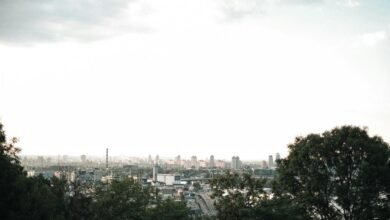 digital advantage for dominance