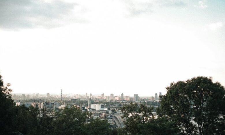 digital advantage for dominance