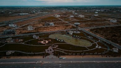 expansion conversion boost win