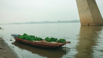 impact flow market growth