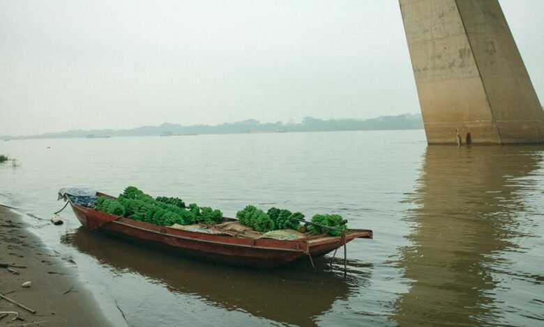 impact flow market growth