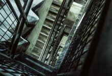 leadership within vertex flow