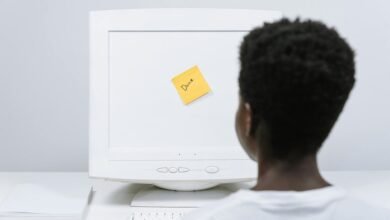 network monitoring and summary