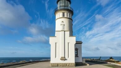 operational excellence strategies unveiled