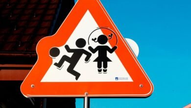 public safety alert system