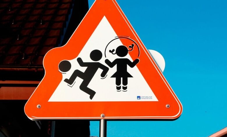 public safety alert system