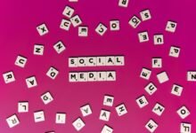 strategic omega lane vector