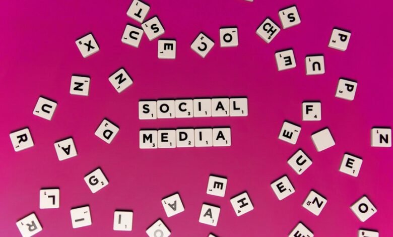 strategic omega lane vector