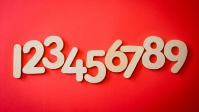 complete overview of phone number
