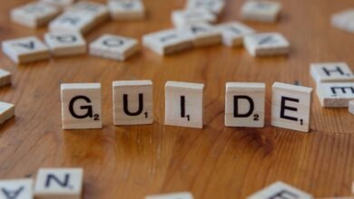 guide reveals detailed tips and insights